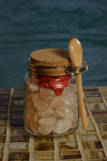 Healthy Snacks Featured at International Spa Association Media Event: Nutrient Dense Granola and Himalayan Salt Sole