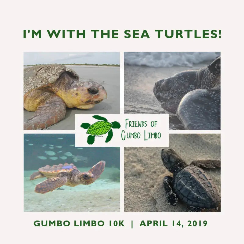Saltability Supports 2019 Gumbo Limbo 10K as Gold Sponsor