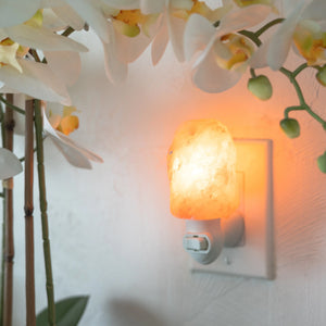 Himalayan Salt Air Purifying Nightlight Saltability